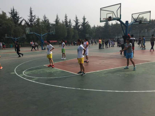 833体育指定通道图片