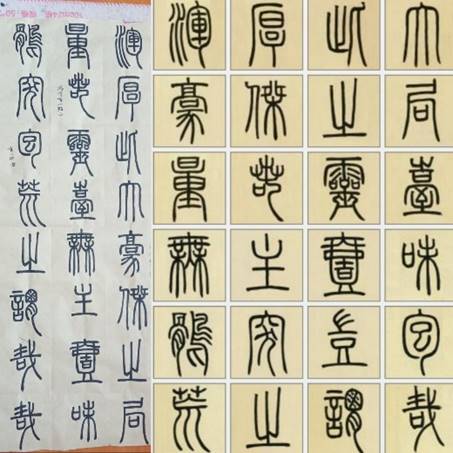 833体育官方线路