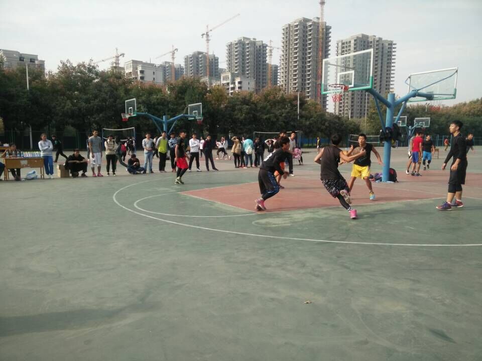 833体育手机版图片