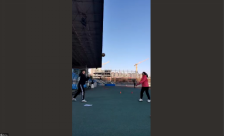 833体育手机版图片