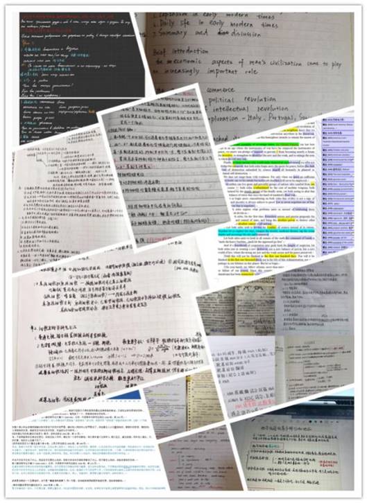 833体育APP下载