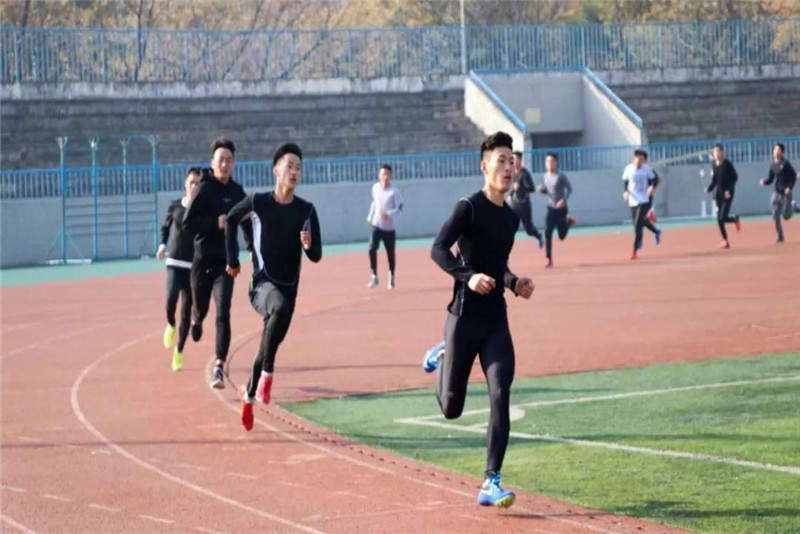 833体育备用网址图片