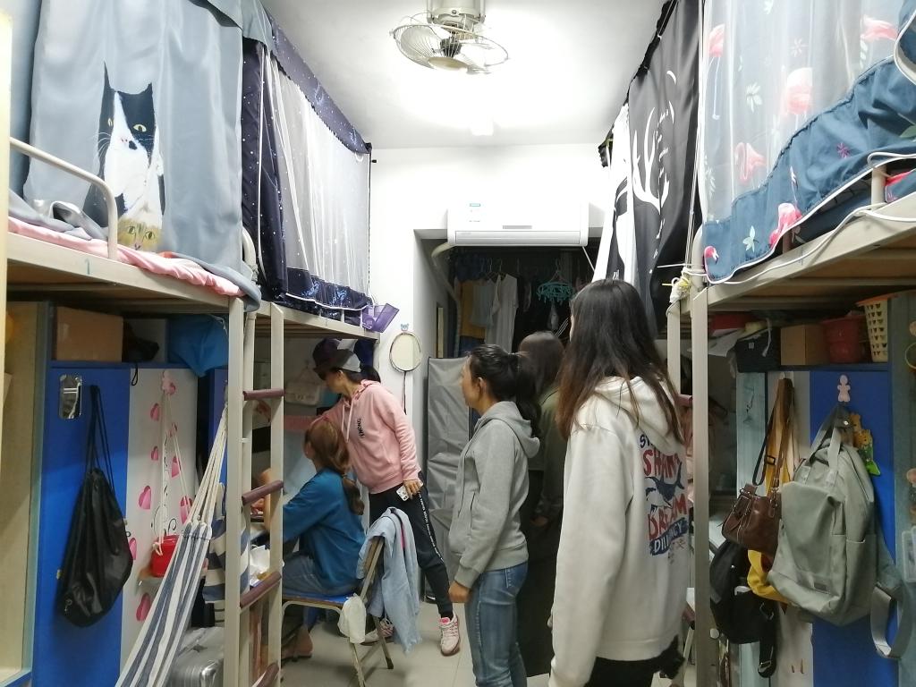 833体育欧洲杯