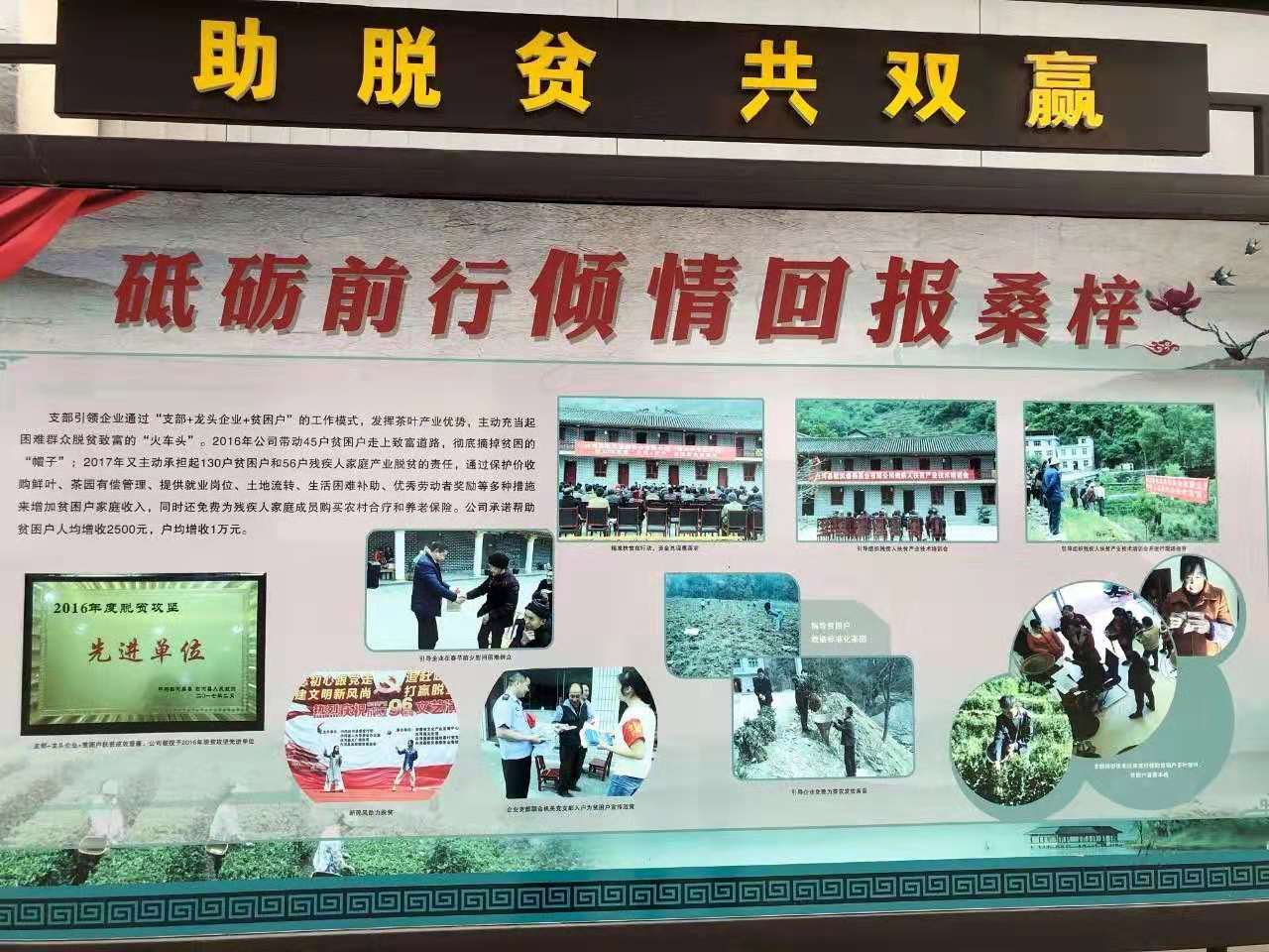833体育赛事资讯平台图片