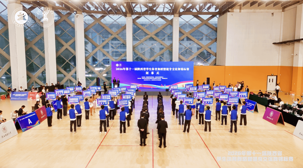 833体育直播图片
