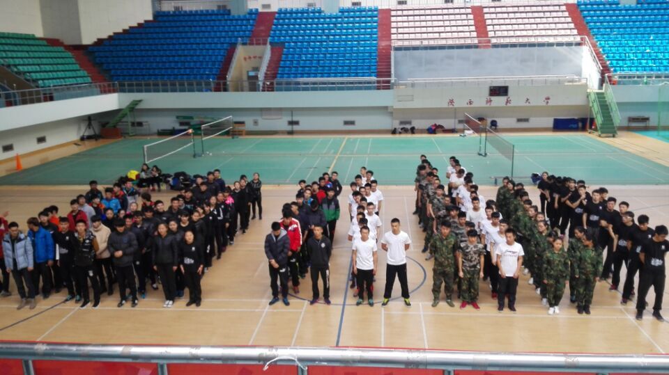 833体育指定通道图片