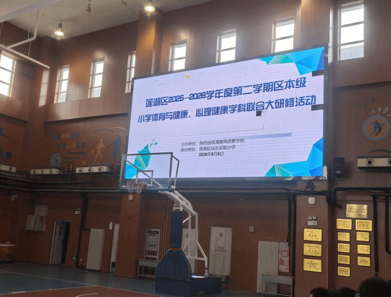 833体育直播图片