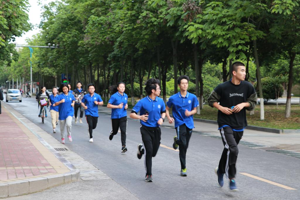 833体育官方线路