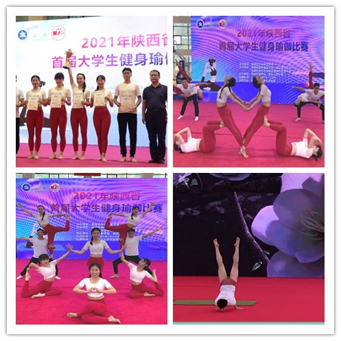 833体育官方线路