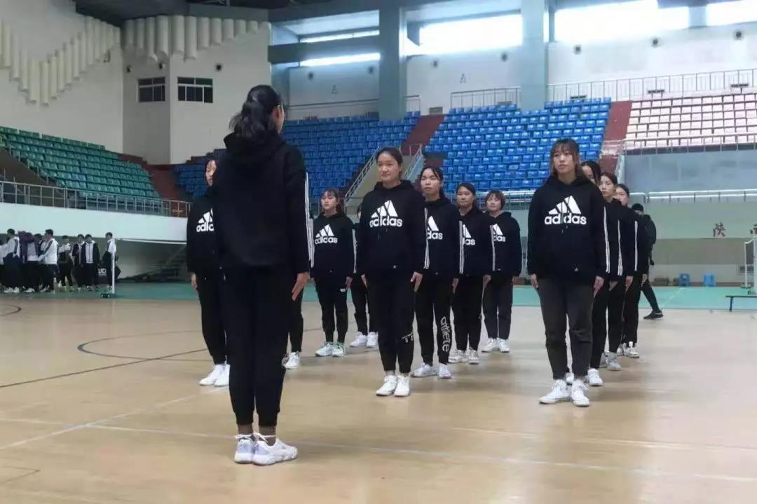 833体育直播