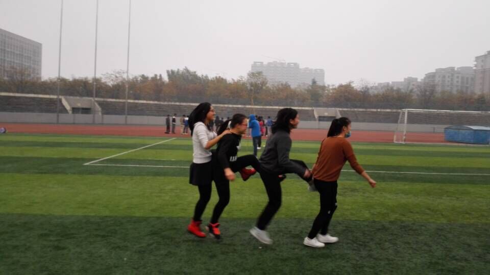 833体育指定通道图片