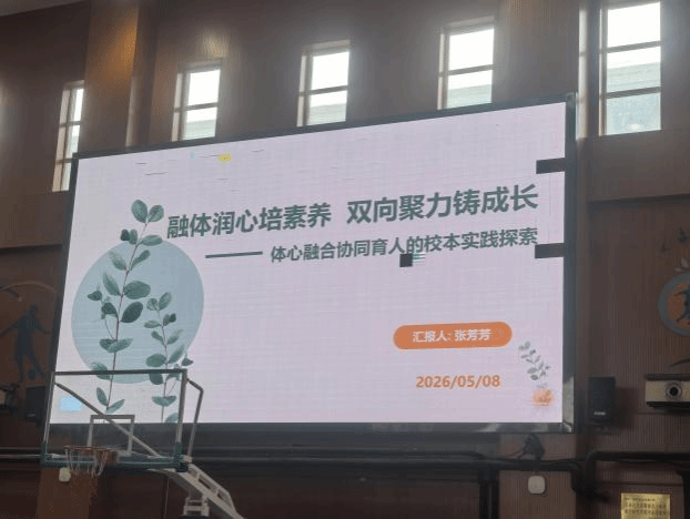 833体育欧洲杯图片