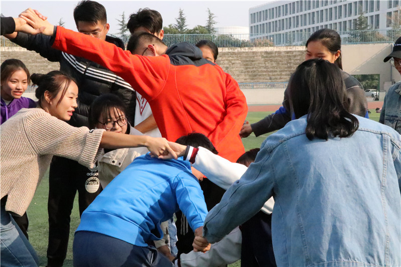 833体育指定通道图片