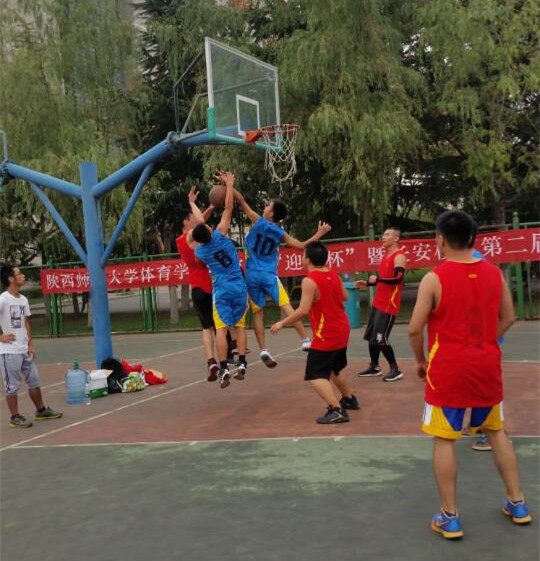 833体育APP下载