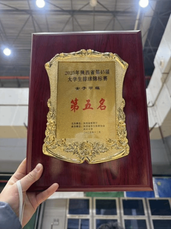 833体育超级联赛图片