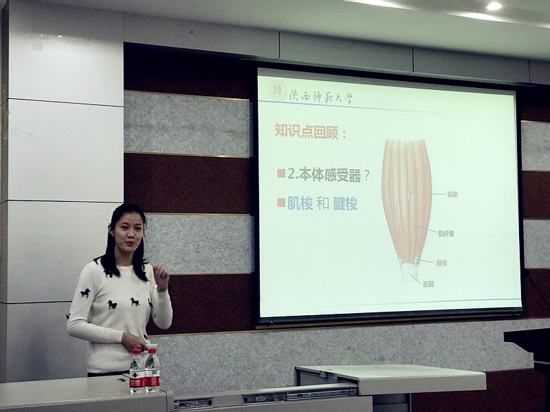 833体育官方指定端图片