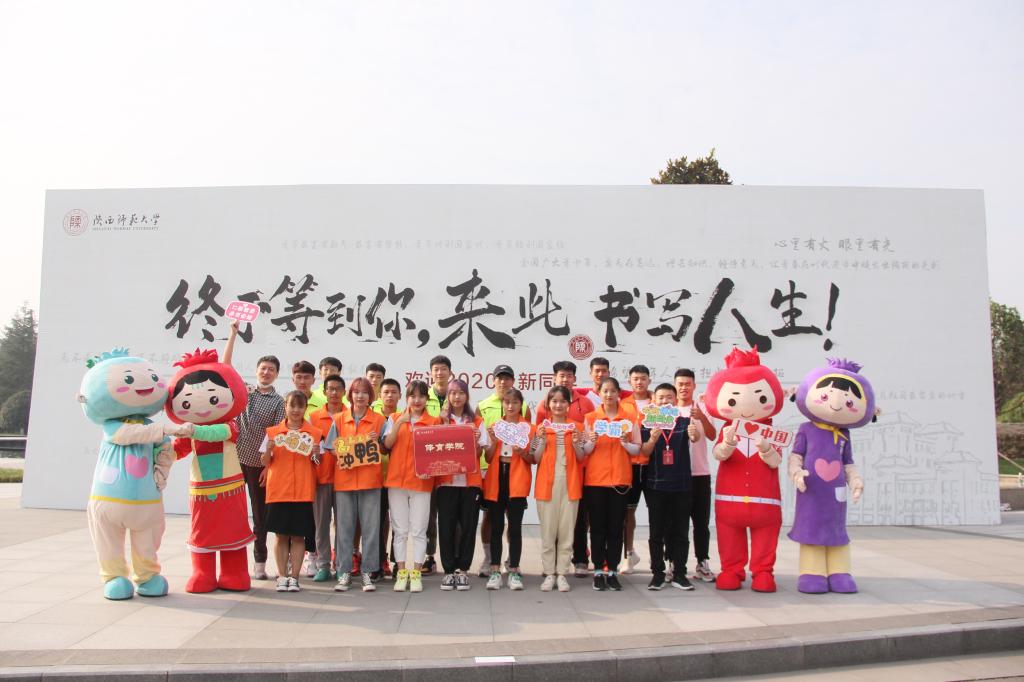 833体育稳定线路图片