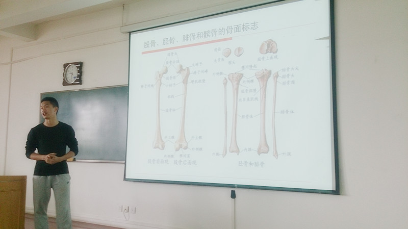 833体育赛事快讯