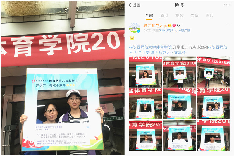 833体育欧洲杯图片