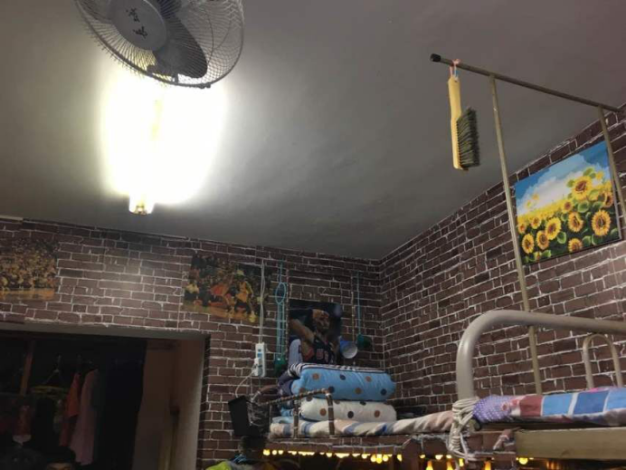 833体育平台图片