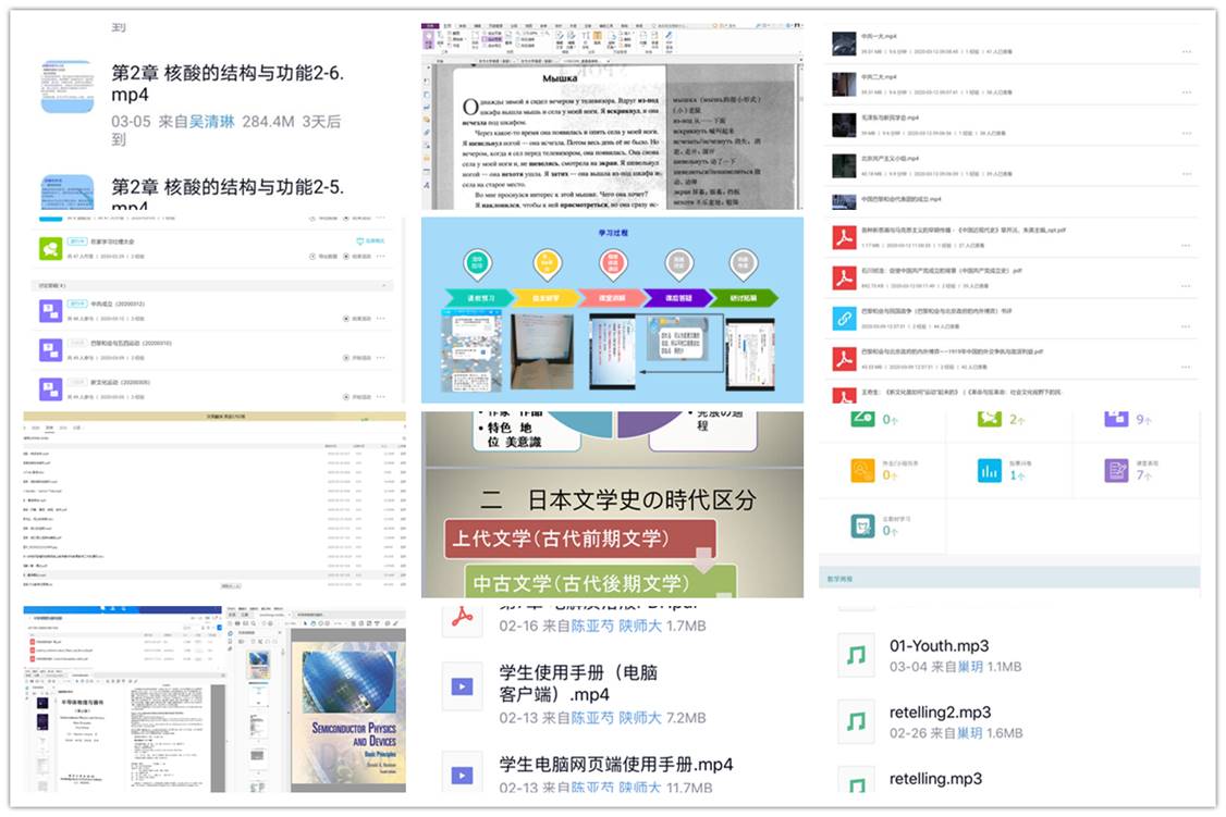 833体育官方指定端