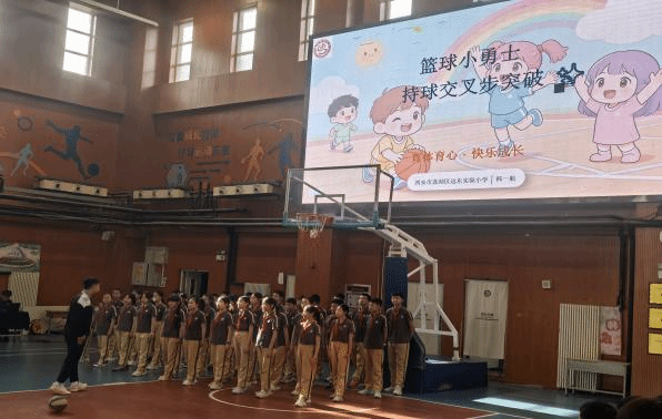 833体育备用网址图片