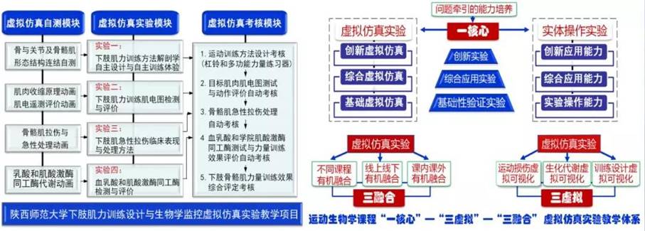 833体育核心通道