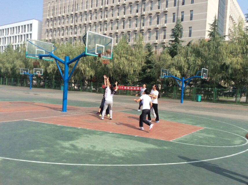 833体育APP下载