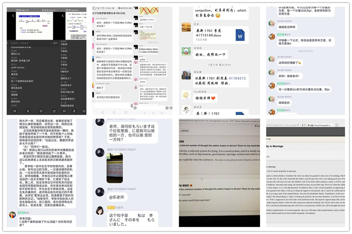833体育官方指定端
