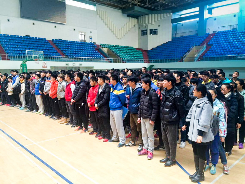 833体育直播图片