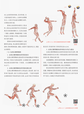 833体育官方指定端